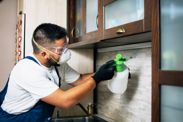 Pest Control for Restaurants in Loxley, AL