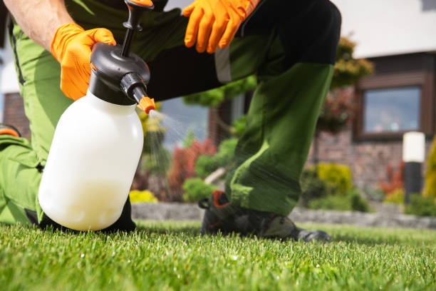 Best Pest Removal Services  in Loxley, AL