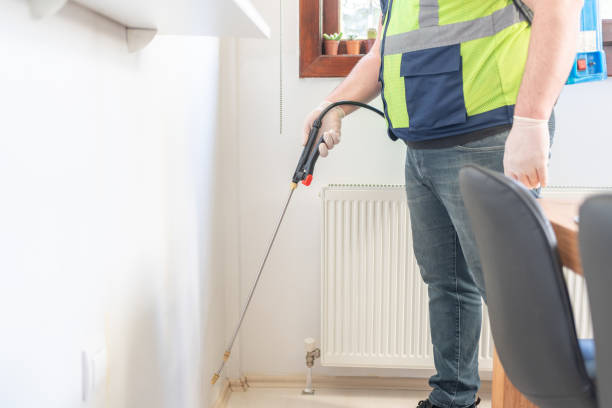 Best Wasp Removal Services  in Loxley, AL