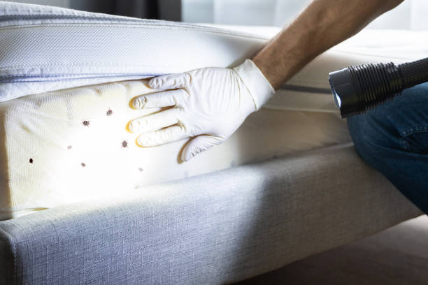 Best Affordable Pest Control Services  in Loxley, AL