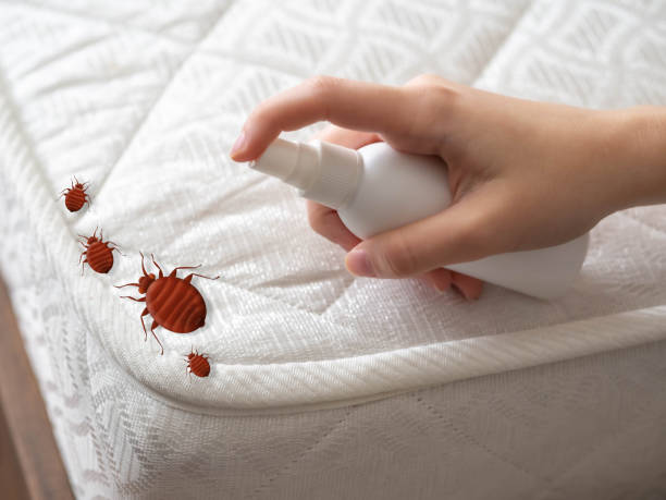 Pest Prevention Services in Loxley, AL