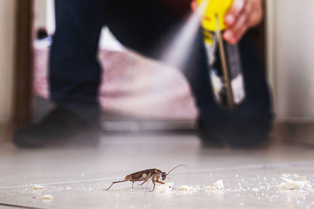 Best Pest Inspection Near Me  in Loxley, AL