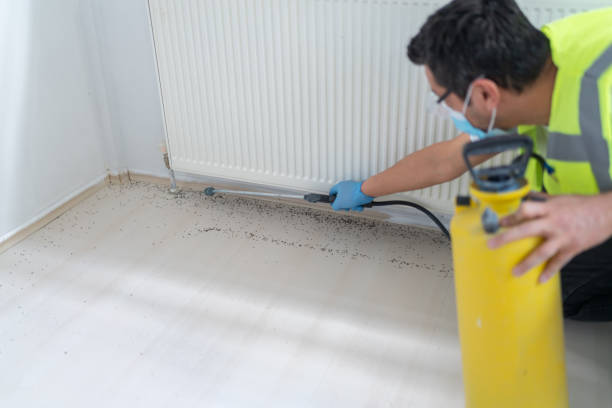 Trusted Loxley, AL Pest Control Experts