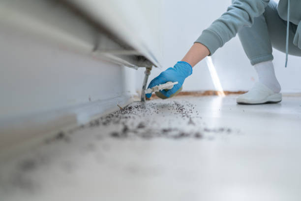 Best Best Pest Control Companies  in Loxley, AL