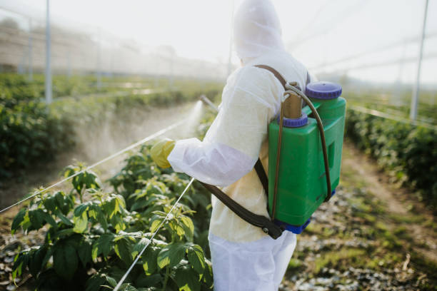 Best Pest Prevention Services  in Loxley, AL